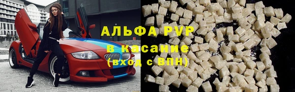эйфоретик Беломорск