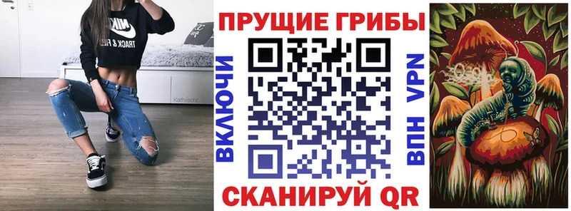 дарнет шоп Губкинский Галлюциногенные грибы мухоморы